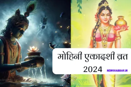 मोहिनी एकादशी, मोहिनी एकादशी 2024